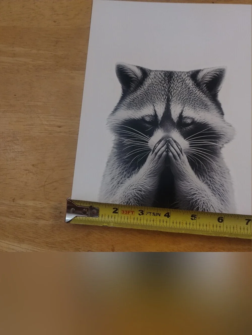 N/A meditating raccoon